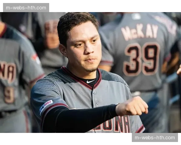 MLB球员协会与哈佛大学合作推出运动生涯规划在线课程